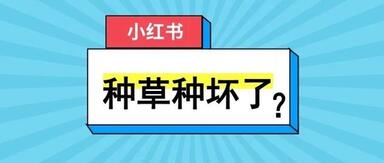 小紅書運營技巧 小紅書運營技巧