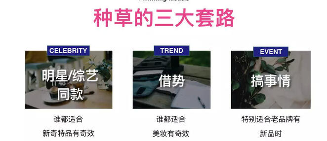 玩轉社交電商，小紅書種草六五攻略